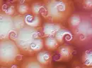 Spirals