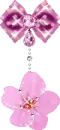 pink flower