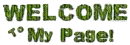 Welcome to my page