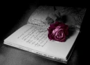 â€¢âœ¿â€¢â•â•â•â•â•â•â• â™¥ â•â•â•â•â•â•â•â€¢âœ¿â€¢
