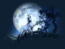 Fantasy