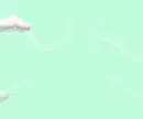 Beautiful Green Sky 