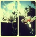 Vintage Background