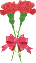 tie bow