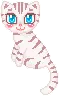 blinkie the cat