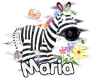 MARIA