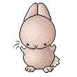 bunny