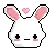 bunny cute