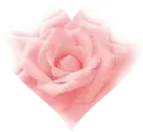 Heart Rose