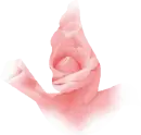 Rose Dove