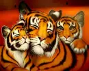 Tigers