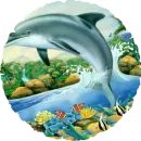 Dolphin