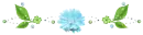 blue green divider