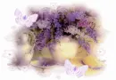 BEAUTIFUL FLOWERS