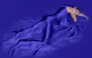 In Dreams