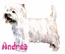 Glittery Puppy Dog - Andrea