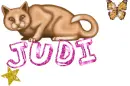 Cute Cat - Judi