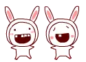 cute bunnies