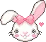 bunny
