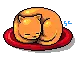 sleeping cat