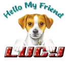 hello LUCY