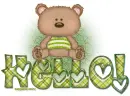 hello bear 