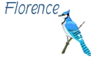 Bluebird