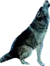 farkas
