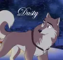 Cute dusty