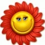 Sunny Flower