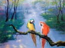 parrots