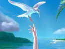 White Bird  