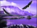  Eagles