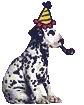 birthday dalmatian 