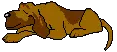 hound