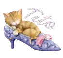 cute kitten