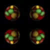 gÃ¶mbÃ¶k