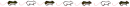rat