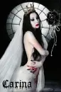 Carina