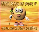 ESTA ROSA ES PARA TI