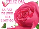 FELIZ DIA