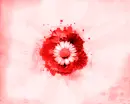 FLORES CON COLORES