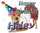 HAPPY BIRTHDAY  Haley