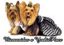 Bienvenidas a yorkieplace