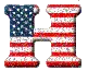 Flag H