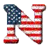 Flag N