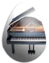 Music Egg