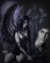 Fallen