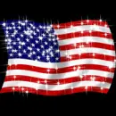  USA BANNER