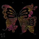 COLORS BUTTERFLIES